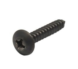 JIS B-1122 Titanium Truss Head Tapping Screw A-Type Made in Japan