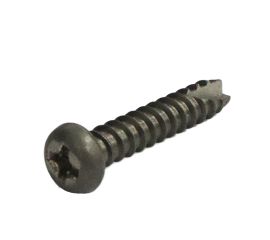 JIS B-1122 Titanium Pan Head Tapping Screw B-1 Type Made in Japan