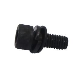 Black Stainless Steel 304 Cap Screw SEMS P=4 Made in Japan