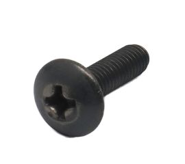 JIS B-1111 Titanium Truss Head Screw (+) Made in Japan